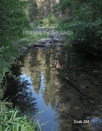 No. Fork of Tuolumne River